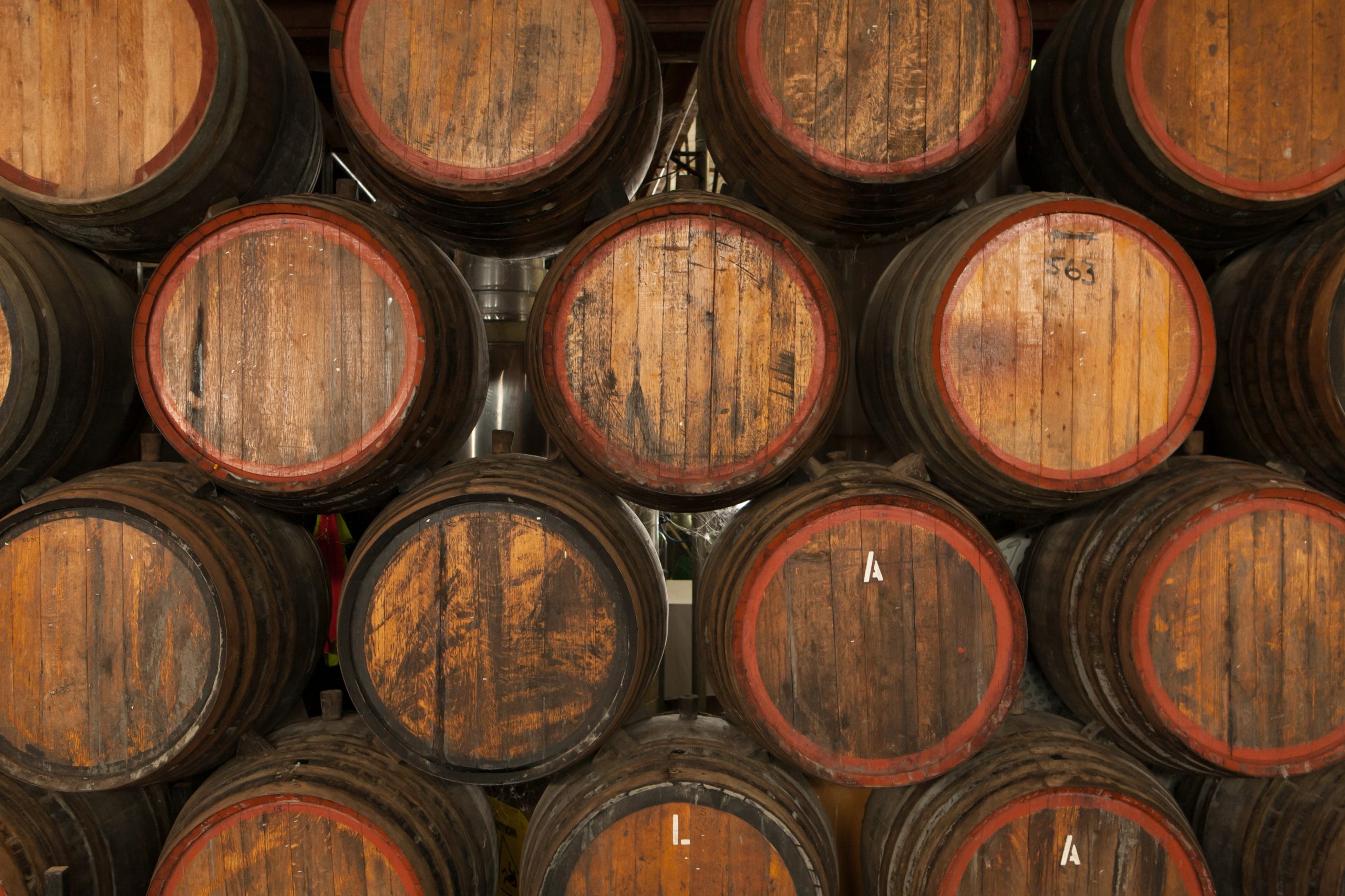 El mejor vino Fino. El Fino de Bodegas Delgado